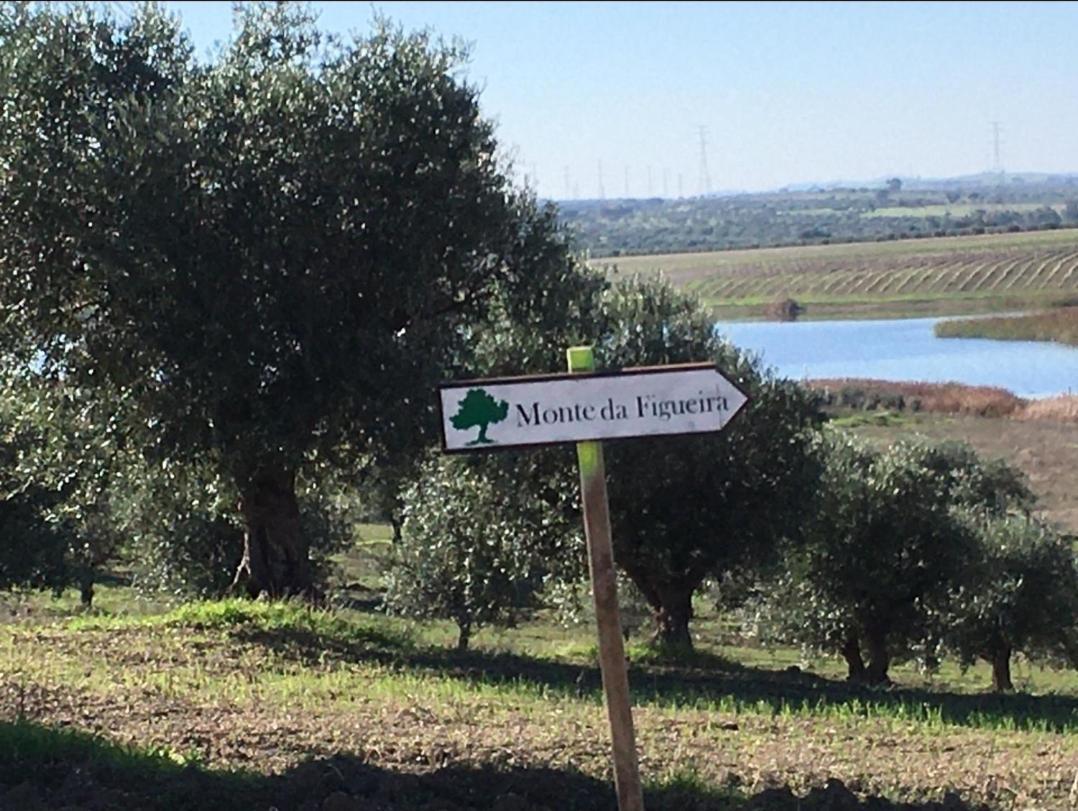 Monte Da Figueira Villa Amareleja Dış mekan fotoğraf