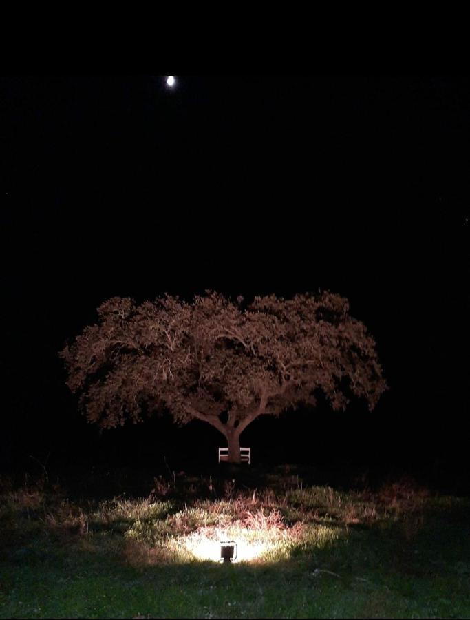 Monte Da Figueira Villa Amareleja Dış mekan fotoğraf