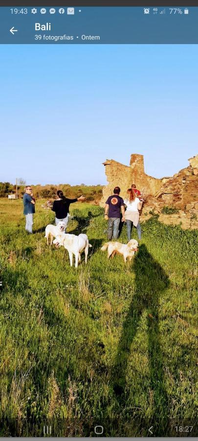 Monte Da Figueira Villa Amareleja Dış mekan fotoğraf