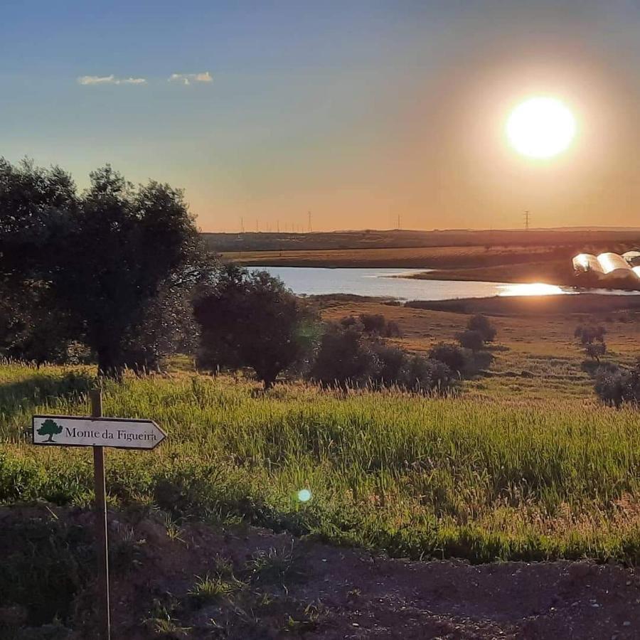 Monte Da Figueira Villa Amareleja Dış mekan fotoğraf