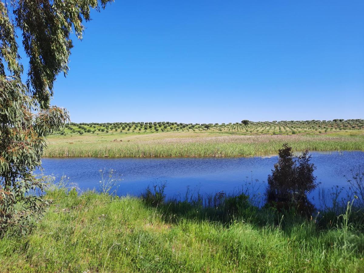 Monte Da Figueira Villa Amareleja Dış mekan fotoğraf